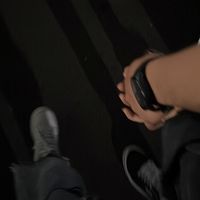 sicemg