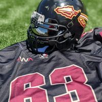 dman633