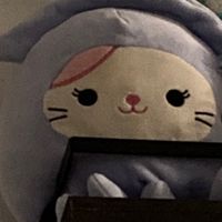 squishmellow_life_hunt
