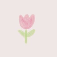 tulipglowgifts