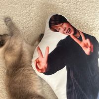 оригинальный звук