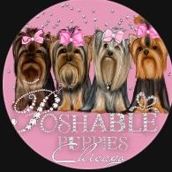 poshablepuppiieschicago