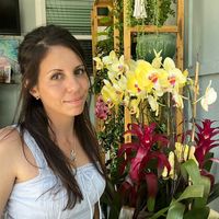 iamluciafranco