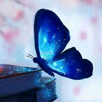 anne_71aemh