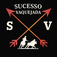 _sucessosdevaquejada