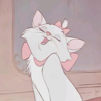 m.claraxzz._