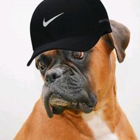 wewiwawoopv2.0