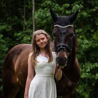 swe_horse6