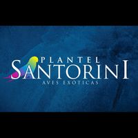 santorini512