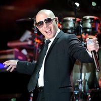 pitbullswh0re