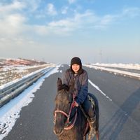 bekbauovichh