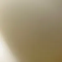 Follow Insta shelliehematian