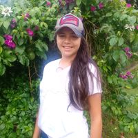 vaniantunes4