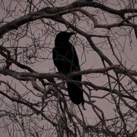 оригінальний звук