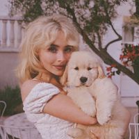 ari.s_hyperfixations