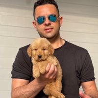 Ahmed Baher Dogs Egypt