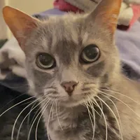 another love sped up