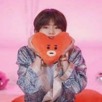 fan.bts2.0