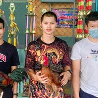 kittipat_9