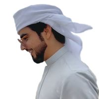 ibn_zayed3