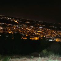 orijinal ses