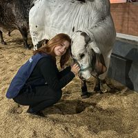 mdmedvet