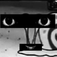 You saw them and they sung a unknown song on a VHS