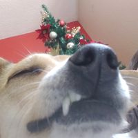 luna_black_edits..xd