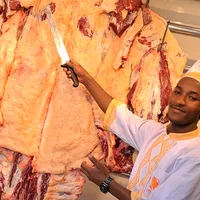 original sound - yared.love7