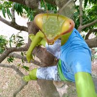 cesarfavacho