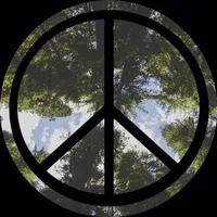 original sound - sincerelyvonnn