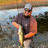 the_big_man_bassing__