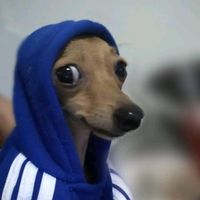 Eu Vou Seguir o _.Extremois._