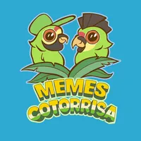 original sound - memes_cotorrisa_2.0