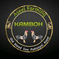 kambohaseelfarming