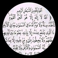 الصوت الأصلي
