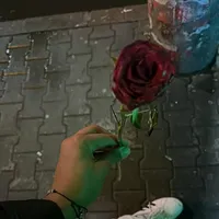 original sound - gaborgabor860