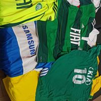 paulopalmeiras2.0