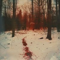 _.nicolas._096