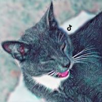 Créditos al maestro NEGAS