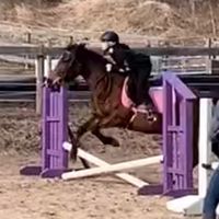equestriangirly_girl