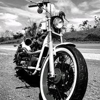 sportster.883.har