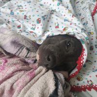 familiadetudoumpouco