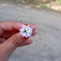 chaparrita0413
