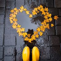 оригинальный звук