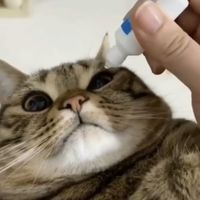 eyebleach2