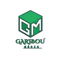 BABA DIALLO NIBÈ SÔLI