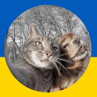 оригінальний звук