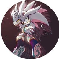 silverbraixen29