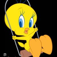ohh.dodo